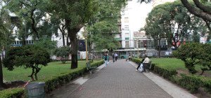 31475_plaza_flores_750x350